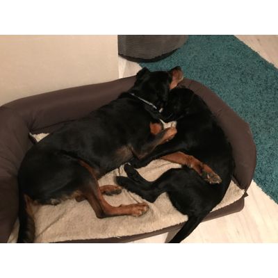 Kuschelstunde