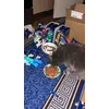 Miti