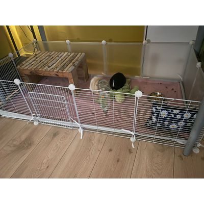 Good cage and bottom