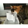 Tommie