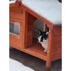Chat heureux