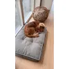 Hamilton ecoLIFE Hundeseng