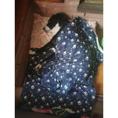 Lea adoro materasso nuovo
