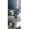 My Bailey loves his new toy