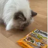 Crunch