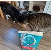 Purina one