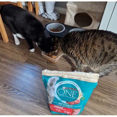Purina one