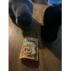 Minnie und Milosch beim Futtern