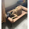 Hondenbed