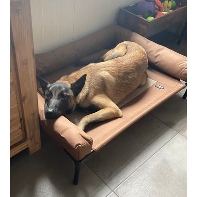 Hondenbed