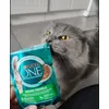 Purina ONE