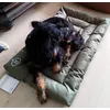 Tolles Hundekissen 