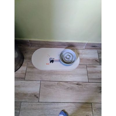 Tiaki
