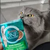 Purina ONE