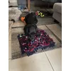 Love it my dog finally wanna eat