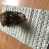 Milo on a mat