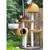 Parfait pour un catio