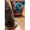 PurinaOne Sterilcat Bifensis