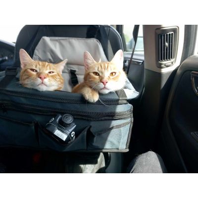 2 in 1