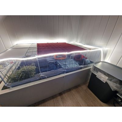 Love the cage