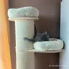 Polecam