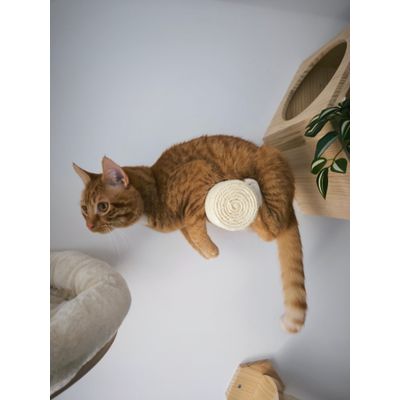 Kattenwand