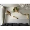 Kattenwand