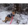 Snowy