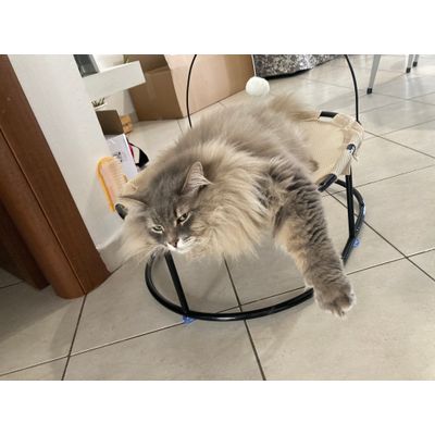 Leo