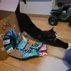  PURINA ONE testy