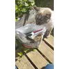 Chat gourmand