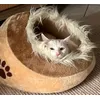 Lovely bed