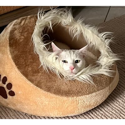 Lovely bed