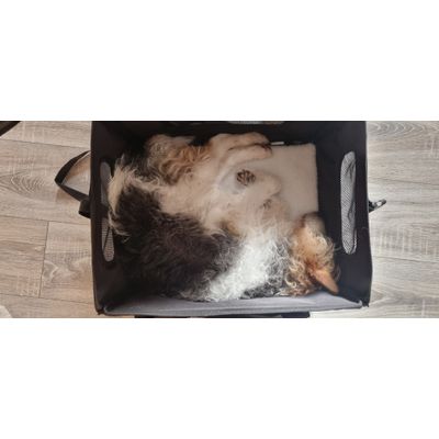Ludwig mag es sehr