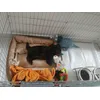 Basic bed
