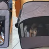 Size M I Dog 8kg and 40cm Back length