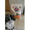 mon cocker chéri il les adore
