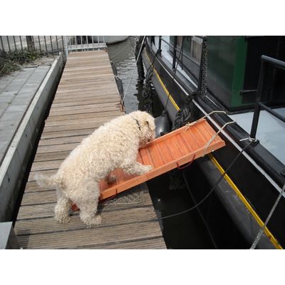 Brug te ver
