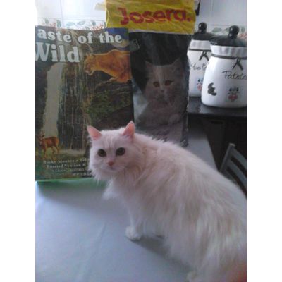 Chispa y su comida favorita