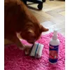CatnipliebtmeinKater