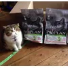 He loves his food