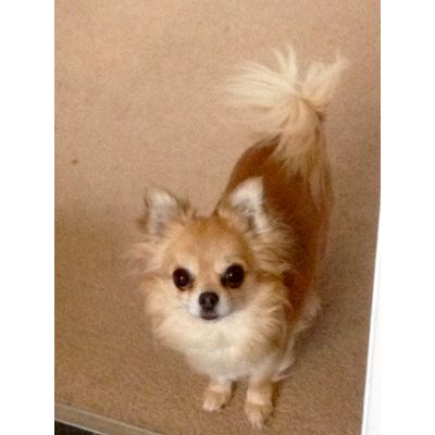Coco