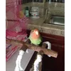 Tuco