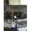 jadorelhuiledechanvre