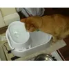My cat loving the dog mate water fountain
