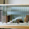 Peanut in his Terrarium