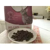 All Cats