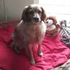 Fiby haar nieuwe mand