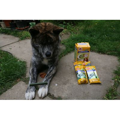 Pedigree Dentastix Fresh