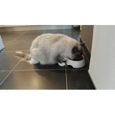 Aramis in actie